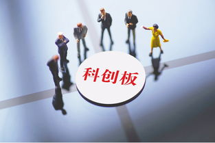 上交所公示科创板 两委 候选人名单 上市委有4人来自地方证监局 咨询委大咖云集