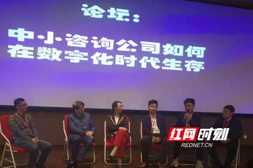 湖南省咨询业协会获国内首个行业 特殊贡献奖