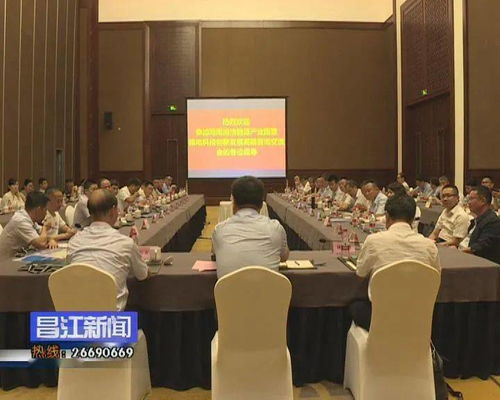 昌江召开海南清洁能源产业园暨核电科技创新发展高端咨询交流会